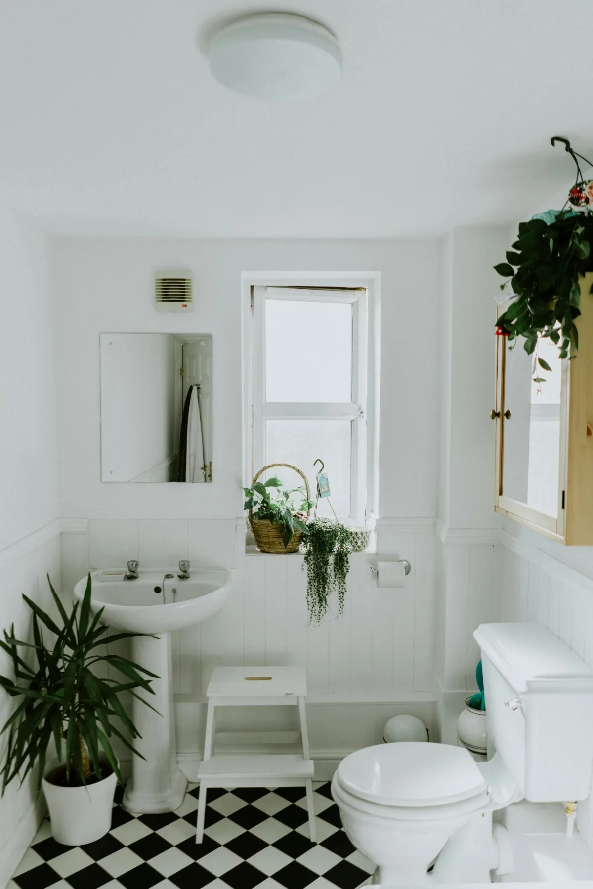 Vintage Bathroom Fixtures - Black & White Theme